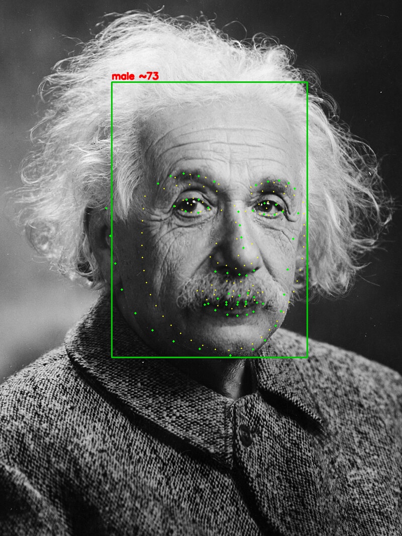 The portrait with bbox, landmarks, and the demographics label drawn.