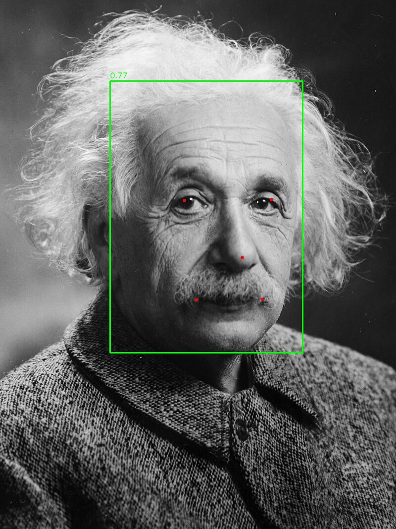 The Einstein portrait with a face box and 5-point landmarks.